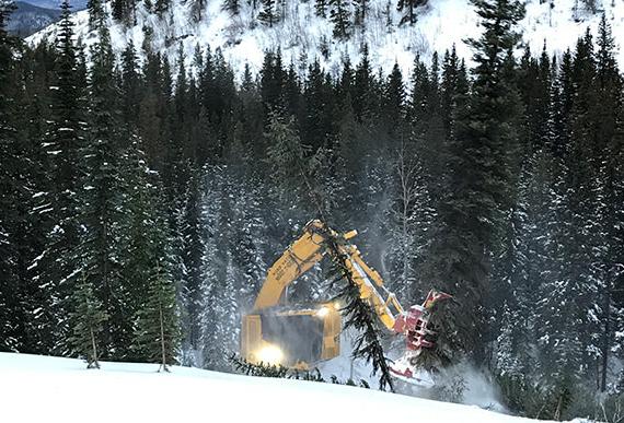 Tracked Feller Bunchers